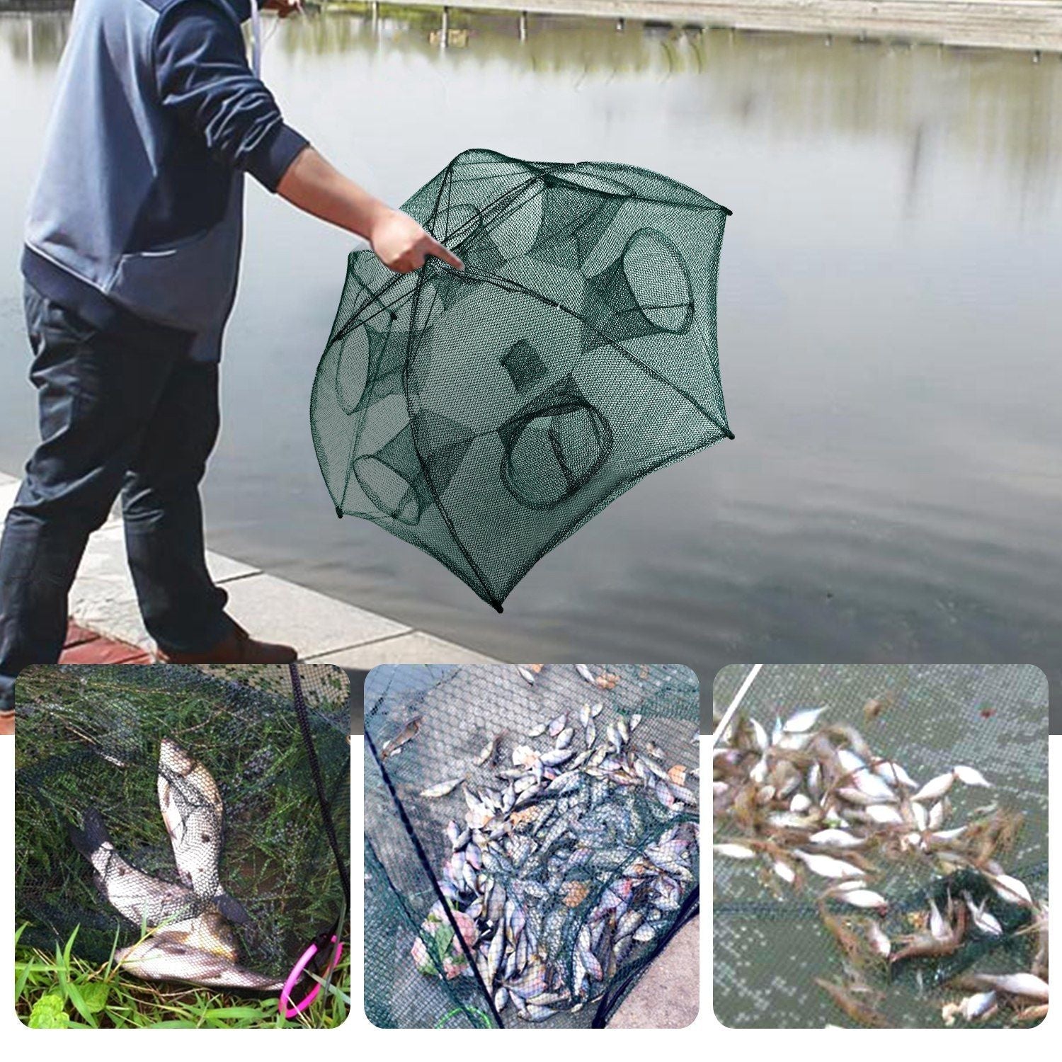 Fishing Trap Net Portable Folded Fishing Bait Trap Shrimp Minnow Crab Bait Net - Renee Lane Company