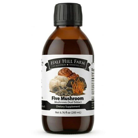Five Mushroom Dual Extract liquid supplement bottle, dark amber with black cap