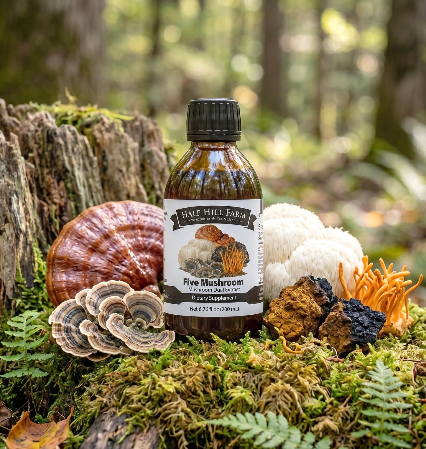 Five Mushroom Dual Extract - Renee Lane Company