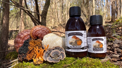 Five Mushroom Dual Extract - Renee Lane Company