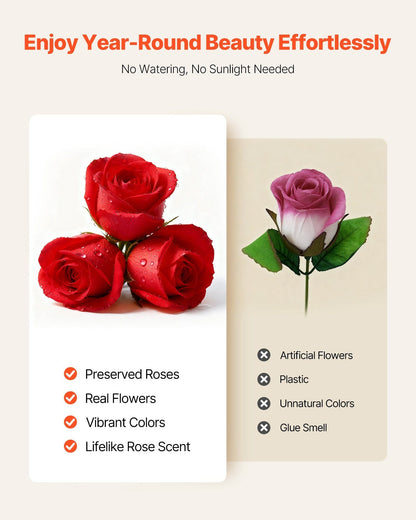 Forever Flowers, 27 Preserved Roses in a Box, Eternal Flowers Immortal Bouquet Birthday Present for Delivery Prime Women Her Wife Mothers, Anniversary, Valentine's Day,Christmas, Red - Renee Lane Company