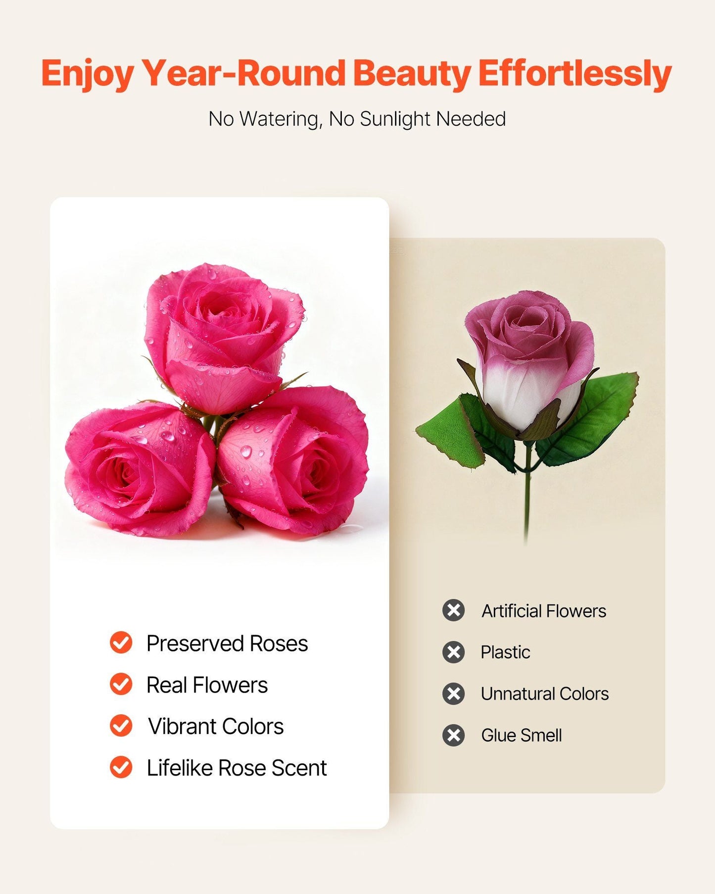 Forever Flowers, 27 Preserved Roses in a Box, Eternal Flowers Immortal Bouquet Birthday Present for Delivery Prime Women Her Wife Mothers, Anniversary, Valentine's Day,Christmas, Rose Red - Renee Lane Company