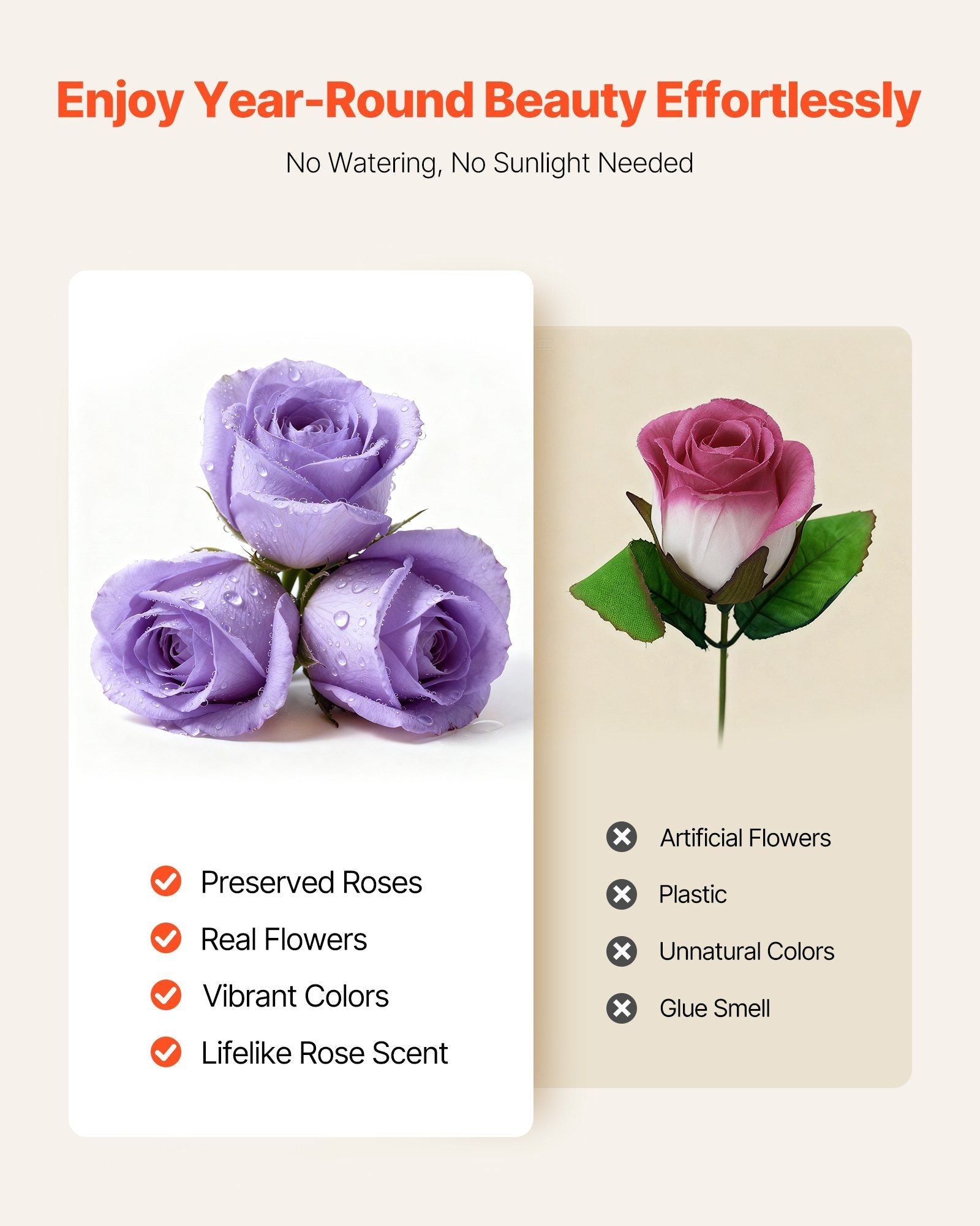 Forever Flowers, 50 Preserved Roses in a Box, Eternal Flowers Immortal Bouquet Birthday Present for Women Her Wife Mothers, Anniversary, Valentine's Day,Christmas, Lavender Purple - Renee Lane Company