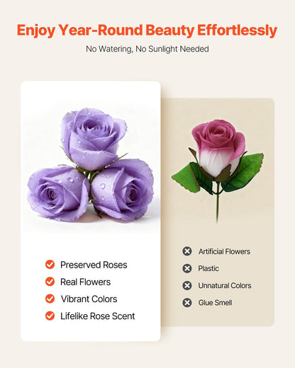 Forever Flowers, 50 Preserved Roses in a Box, Eternal Flowers Immortal Bouquet Birthday Present for Women Her Wife Mothers, Anniversary, Valentine's Day,Christmas, Lavender Purple - Renee Lane Company