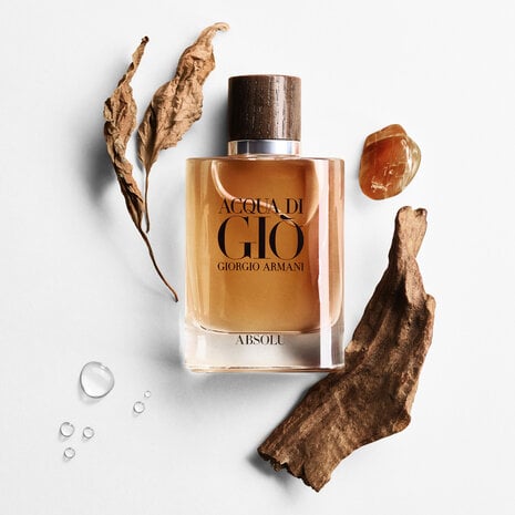 Free 100ml with Giorgio Armani Acqua Di Giò Absolu 125ml – Limited-Time Premium Offer - Renee Lane Company