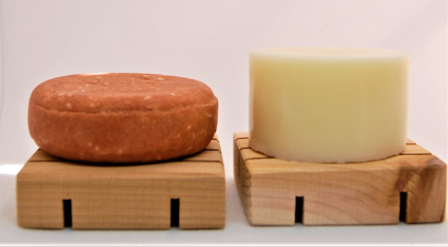 Fresh Citrus Shampoo Bar - Renee Lane Company