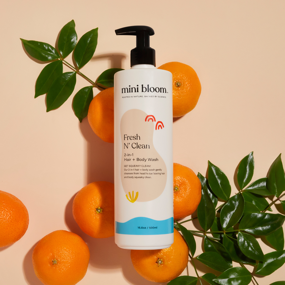 Fresh N’ Clean - Renee Lane Company
