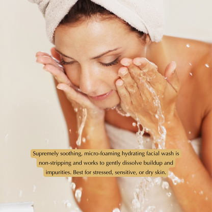 Gentle Hydrating Facial Cleanser – Aloe, Cucumber & Antioxidants (Nut-Free, Gluten-Free, Vegan) - Renee Lane Company