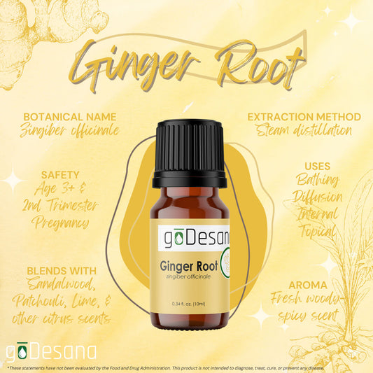Amber glass ginger root essential oil bottle with black ribbed cap, front label