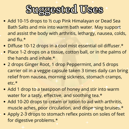 Ginger Root Essential Oil - Great for Nausea and Morning Sickness - Renee Lane Company