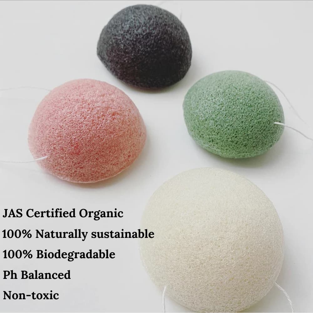 Green Tea Konjac Face Sponge - Renee Lane Company