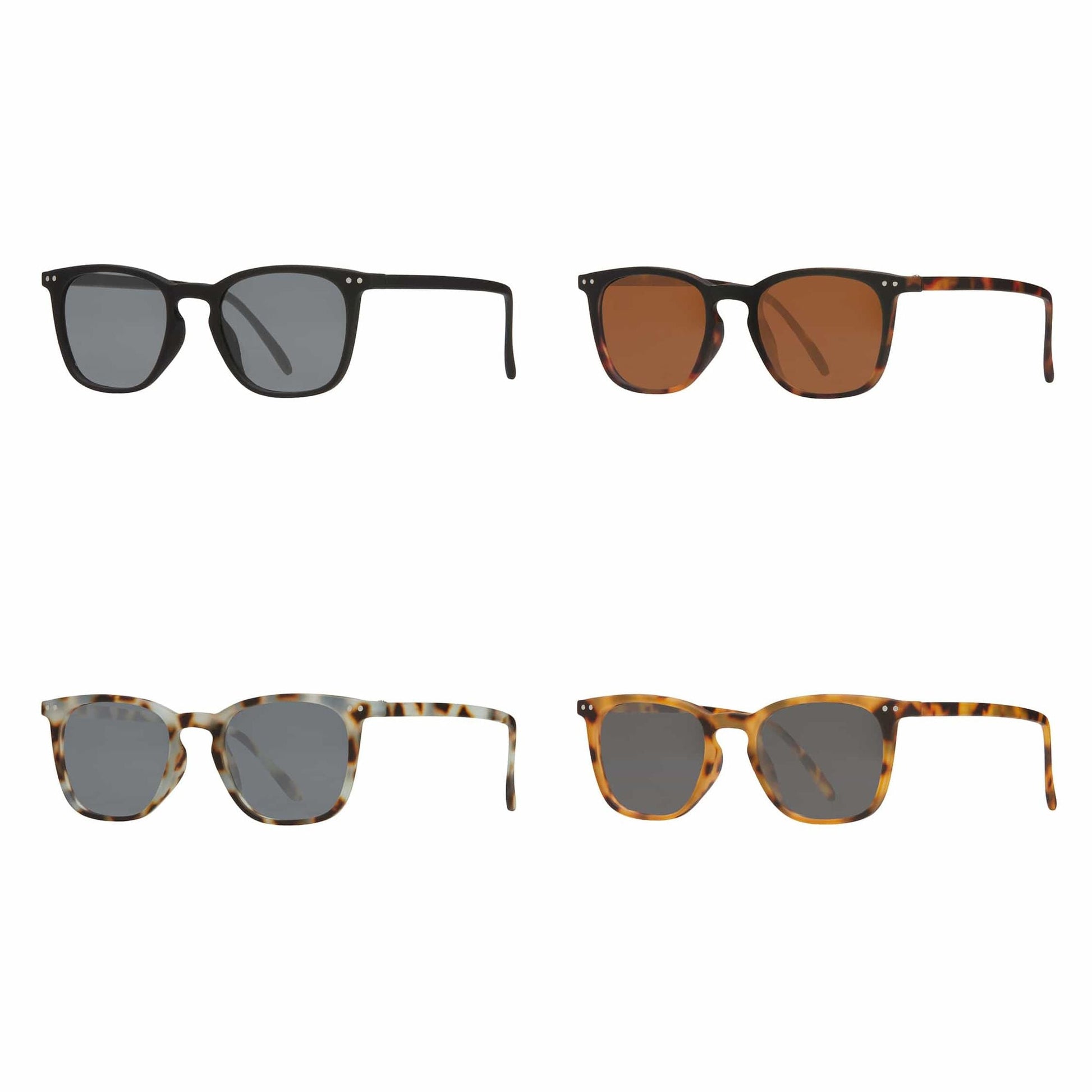 HARPER SUNGLASS TINTED READER - 4 PACK - Renee Lane Company