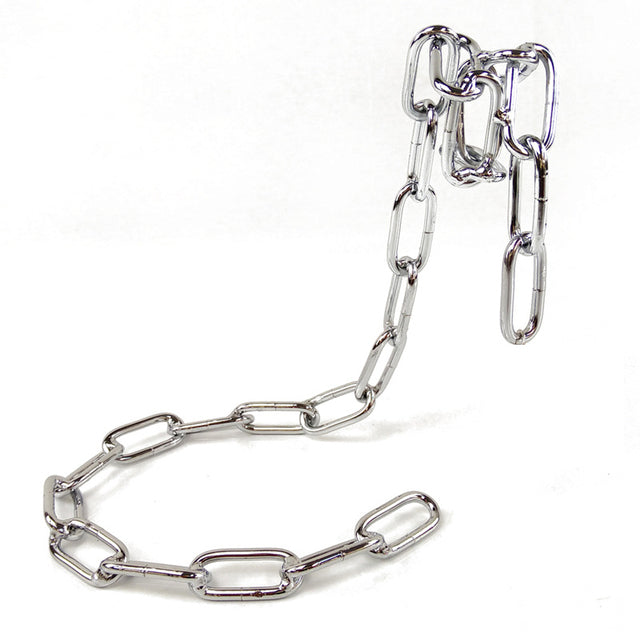 Wine bottle holder with silver chain links and hook clamp