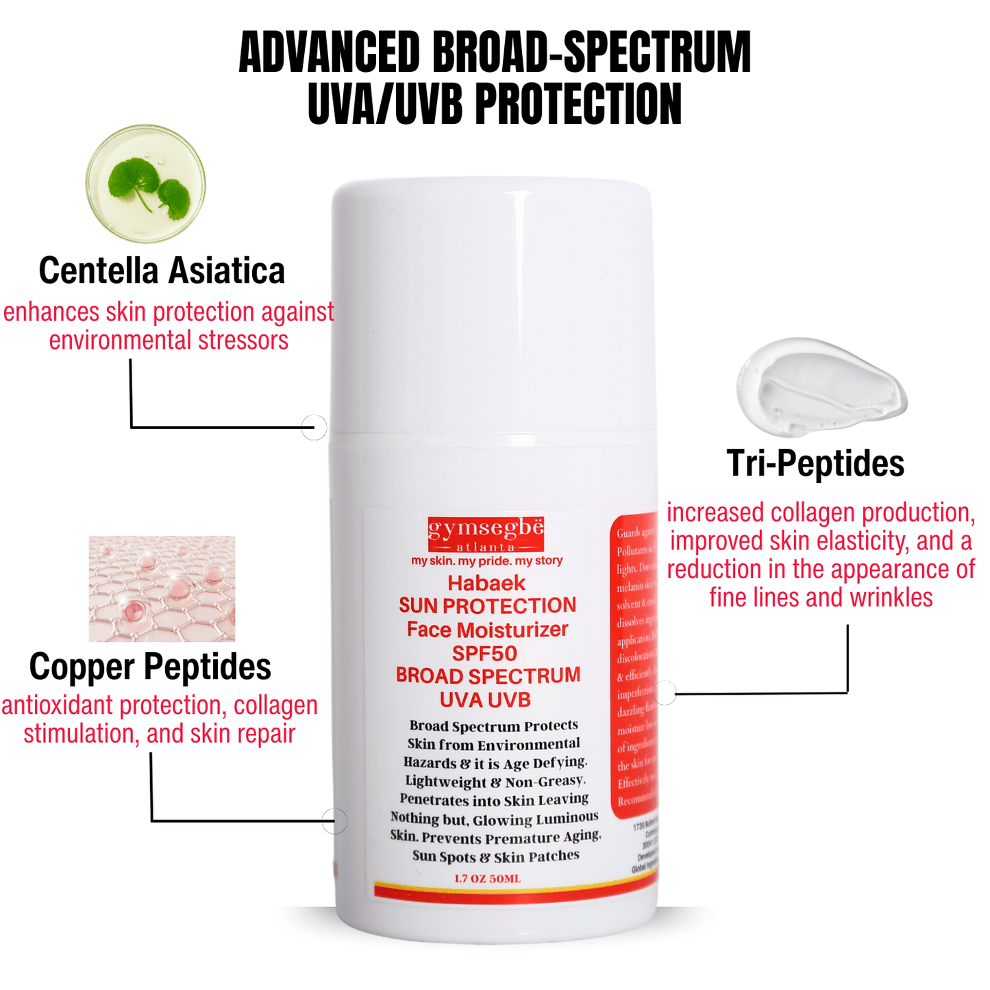Habaek Sun Protection Face Moisturizer SPF50 | Peptides | Niacinamide - Renee Lane Company