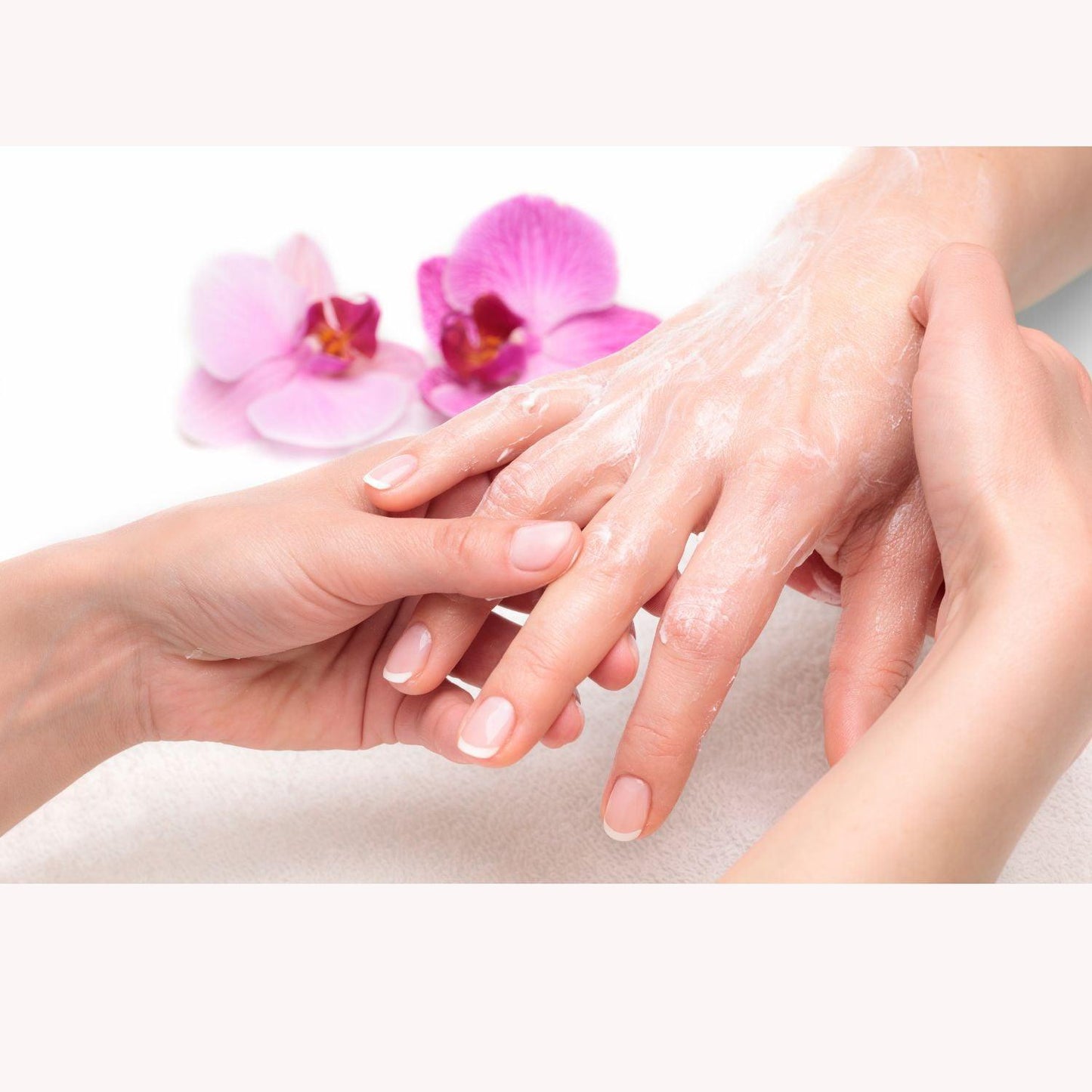 Hand Rejuvenating Anti-Aging Kit - Renee Lane Company