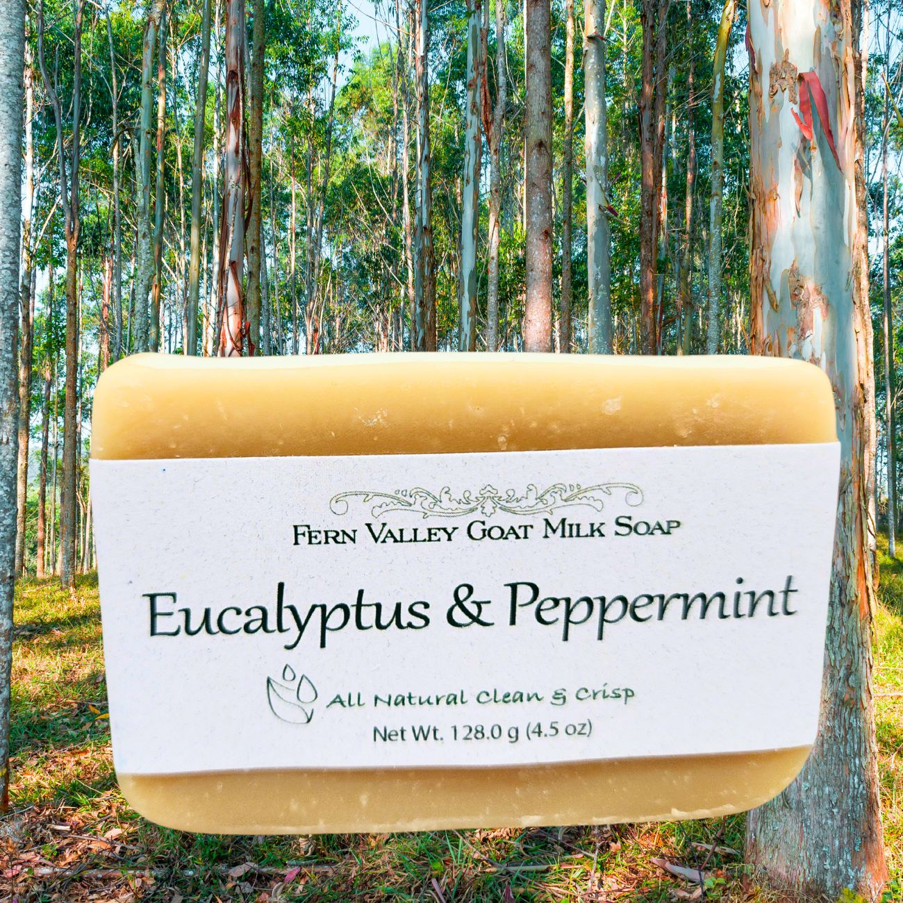 Handmade Goat Milk Soap | All Natural Eucalyptus & Peppermint Soap - Renee Lane Company