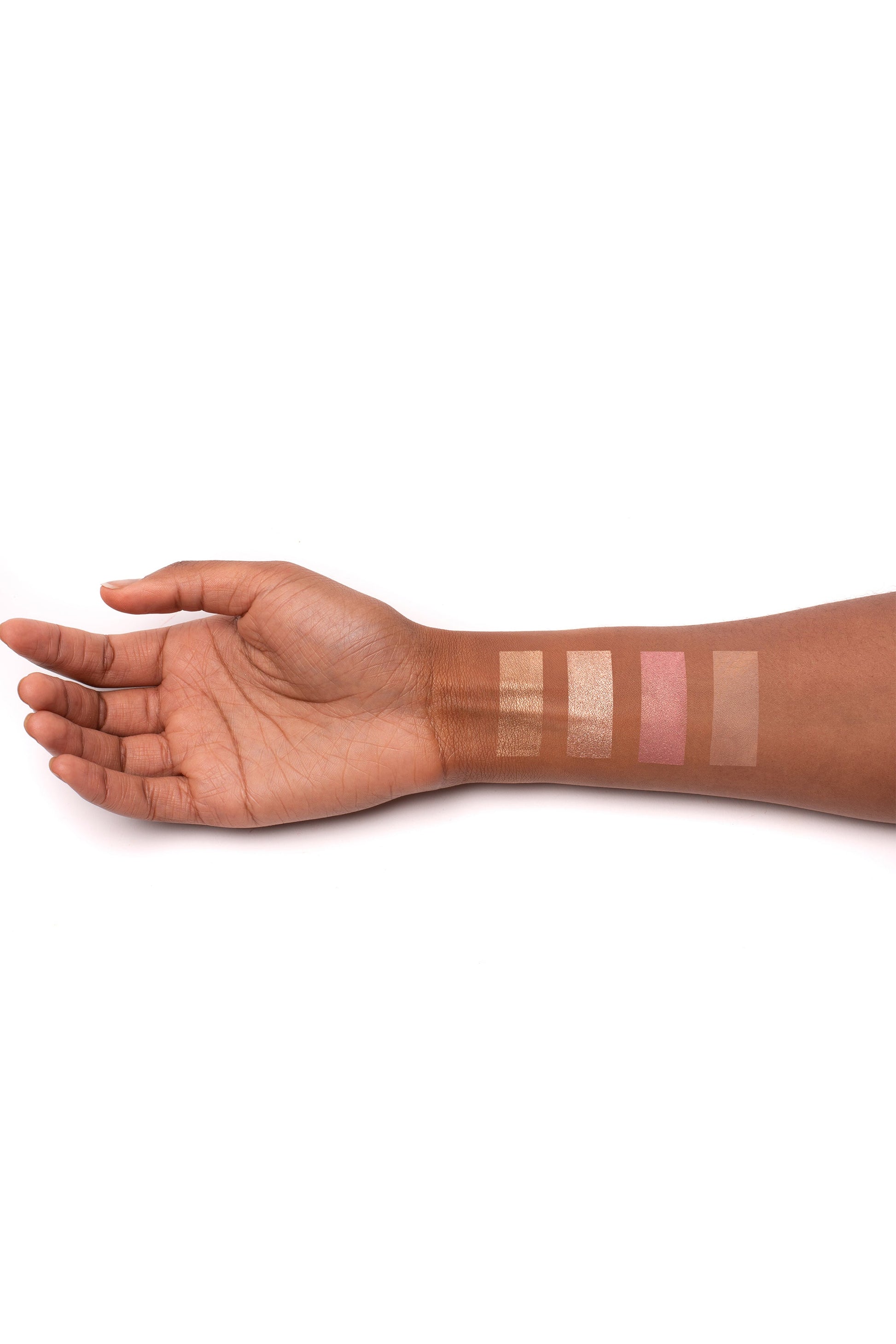 High Life Face Palette - Renee Lane Company