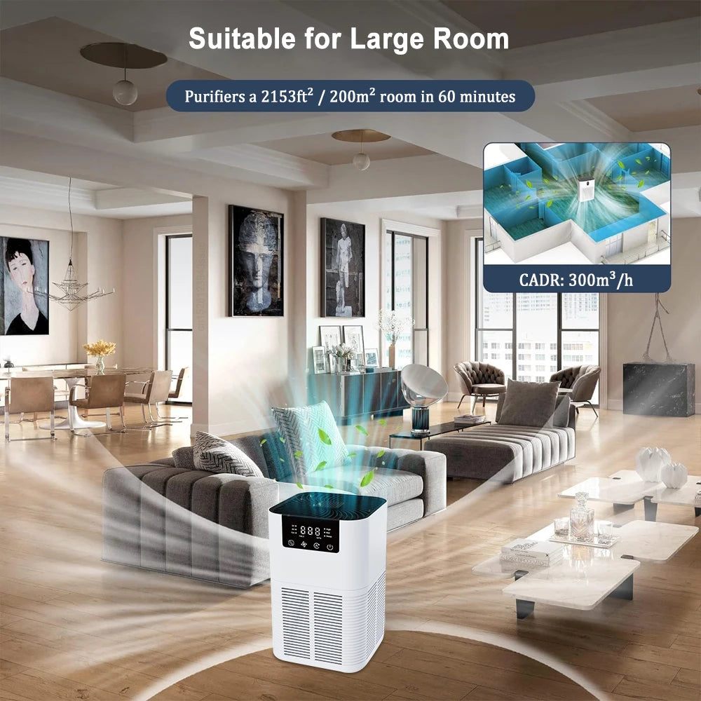 Home Air Purifier with HEPA Filter - Renee Lane Company