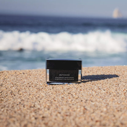 Hyaluronic Moisturizer - Renee Lane Company