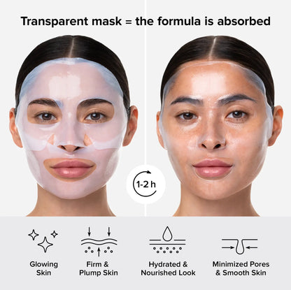 Hydrogel Collagen Face Mask - Renee Lane Company