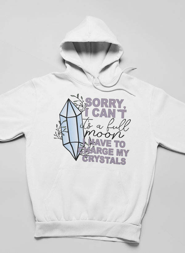 I Have To Charge My Crystals Hoodie - Renee Lane Company