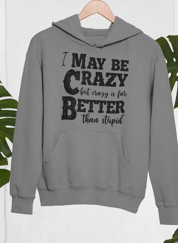 I May Be Crazy But Crazy Is Far Better Than Stupid Hoodie - Renee Lane Company