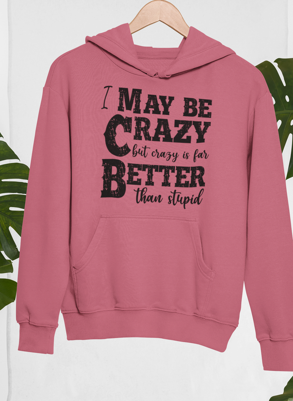 I May Be Crazy But Crazy Is Far Better Than Stupid Hoodie - Renee Lane Company