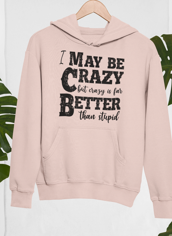 I May Be Crazy But Crazy Is Far Better Than Stupid Hoodie - Renee Lane Company