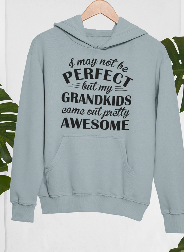 I May Not Be Perfect Hoodie - Renee Lane Company