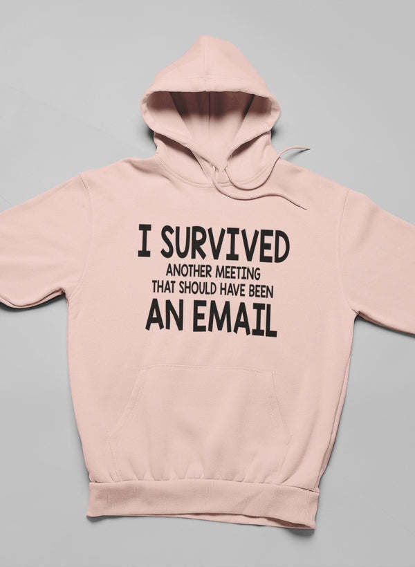 I Survived Another Meeting Hoodie - Renee Lane Company
