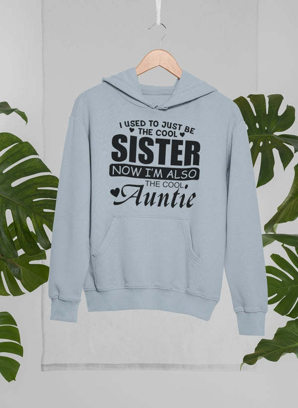 I Used To Just Be The Cool Hoodie - Renee Lane Company