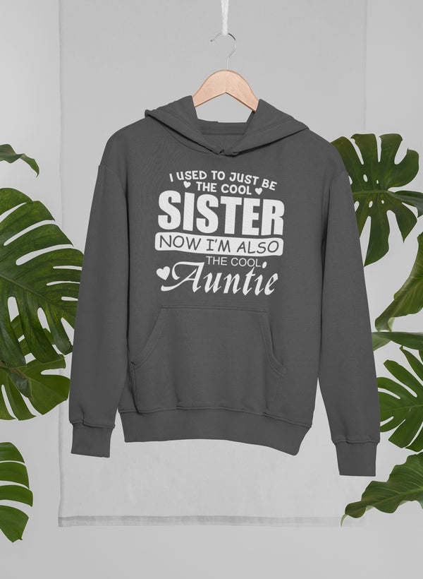 I Used To Just Be The Cool Hoodie - Renee Lane Company