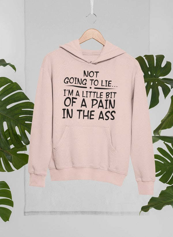 I'm Not Going To Lie Hoodie - Renee Lane Company