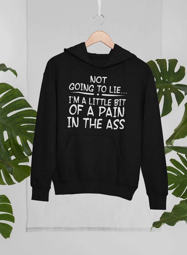 I'm Not Going To Lie Hoodie - Renee Lane Company