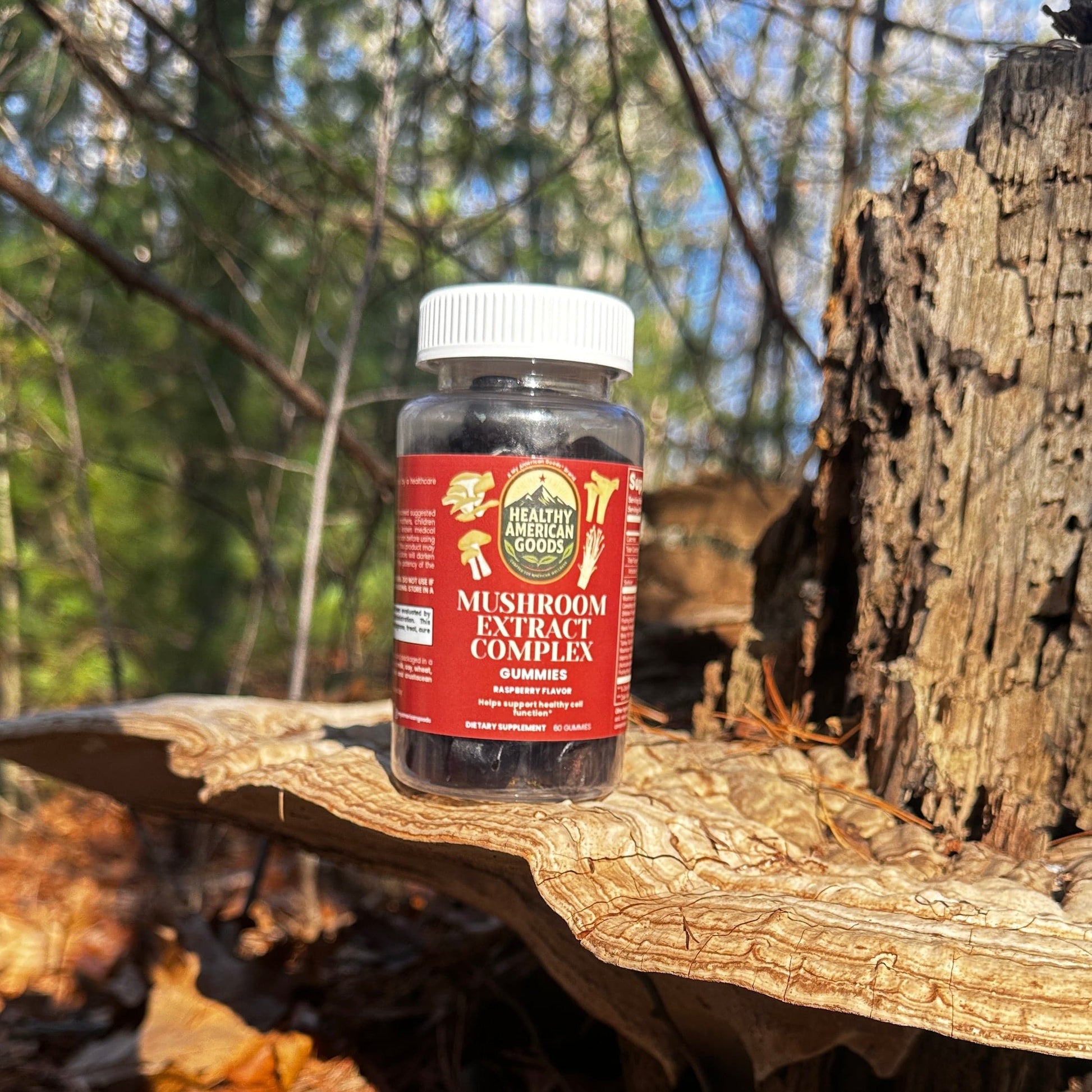 Mushroom extract complex supplement bottle standing on outdoor wood with dark gummies