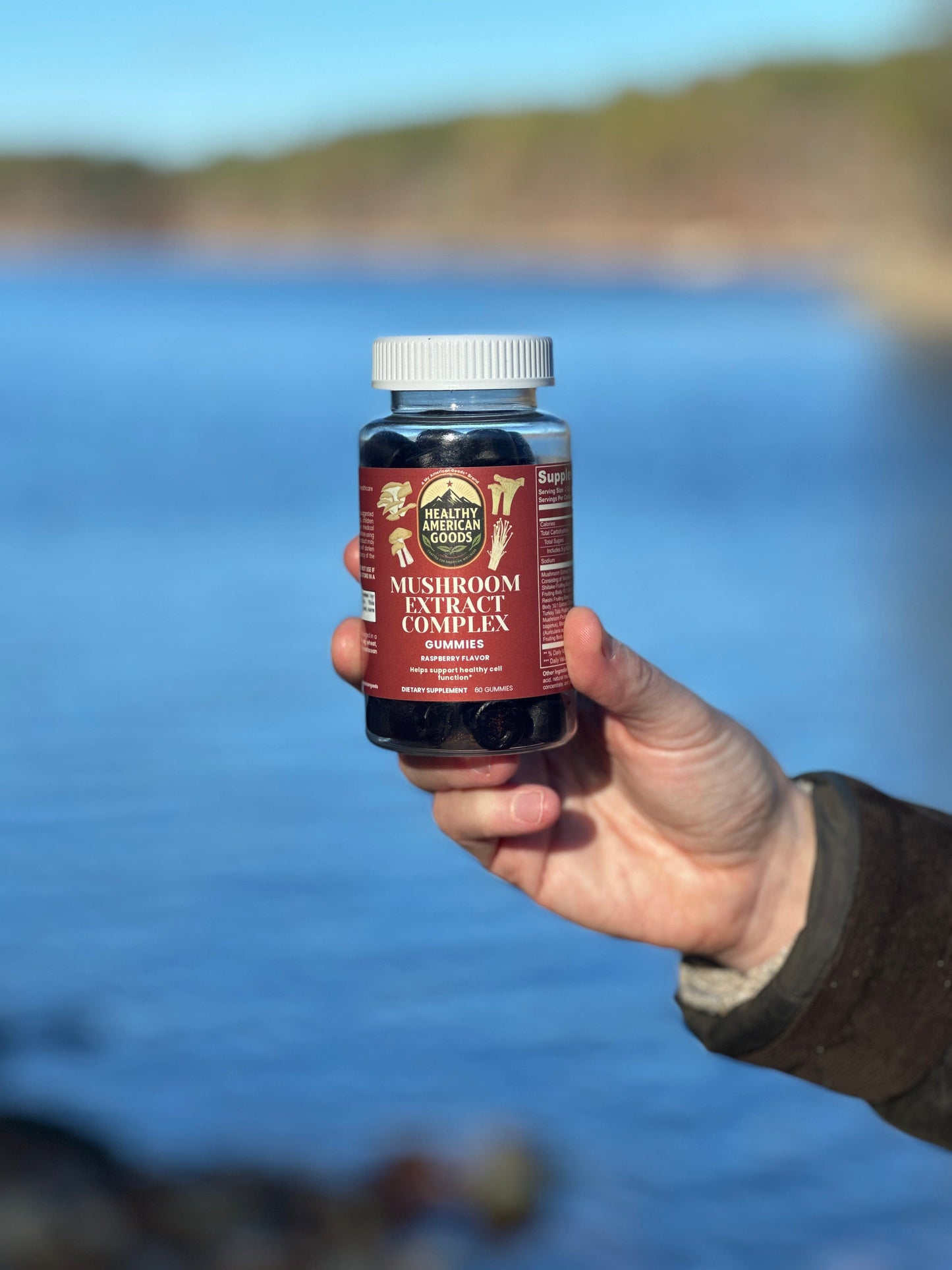 Mushroom gummies supplement bottle held in hand, white cap, dark gummies visible