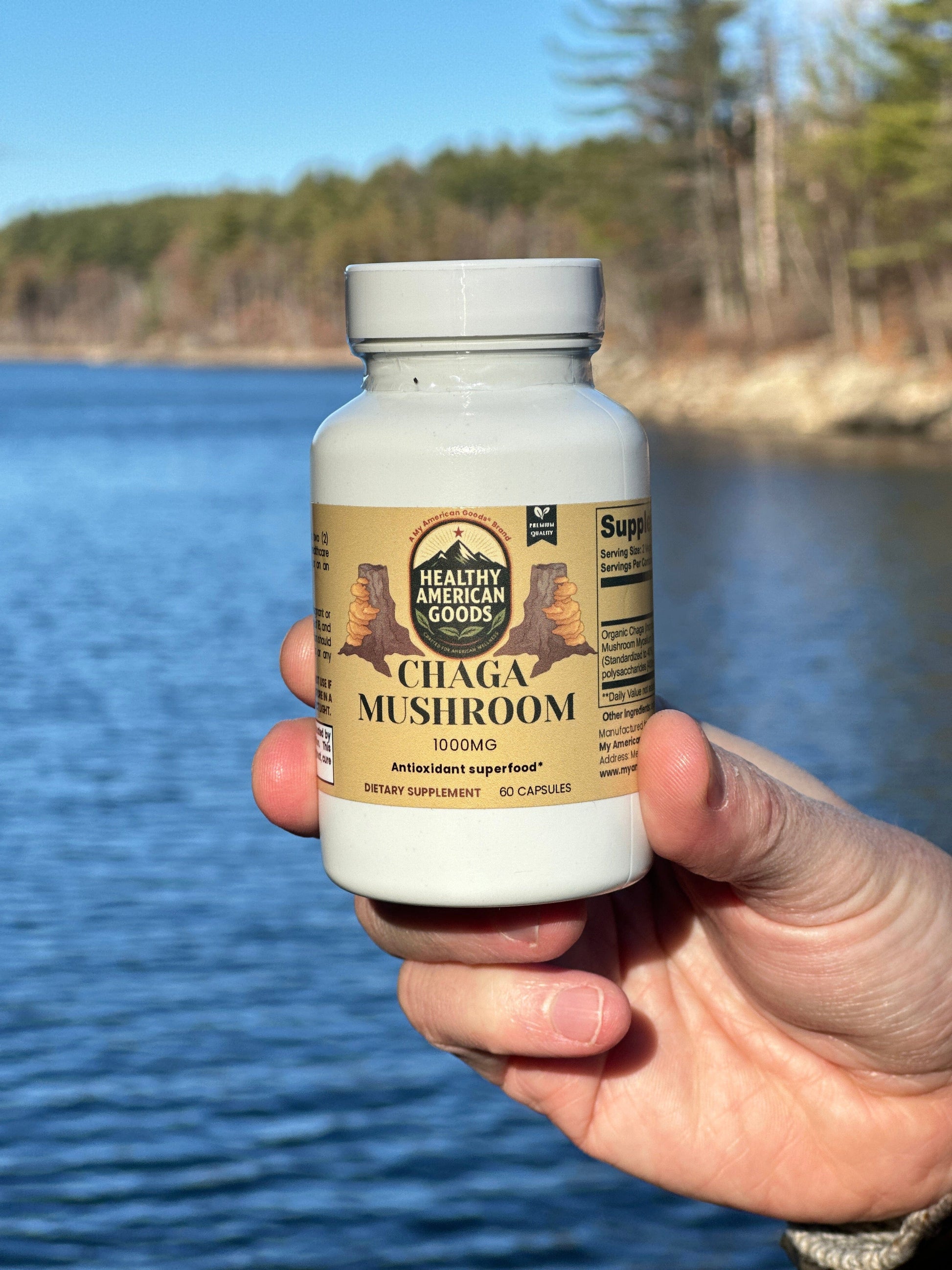 Chaga mushroom supplement bottle held in hand, white cap and gold label visible.