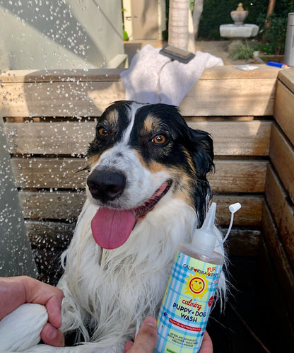 Calming puppy and dog wash bottle next to wet dog during bath