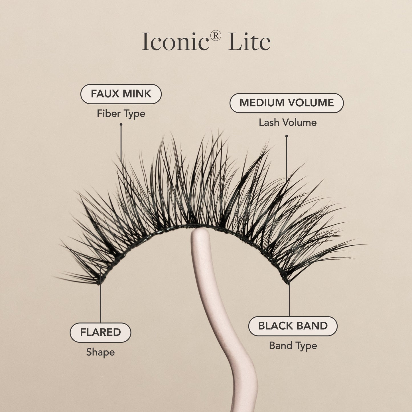 Iconic® Lite - Renee Lane Company