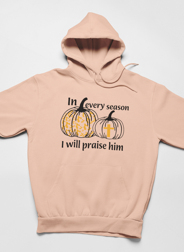 In Every Season I Will Praise Him Hoodie - Renee Lane Company