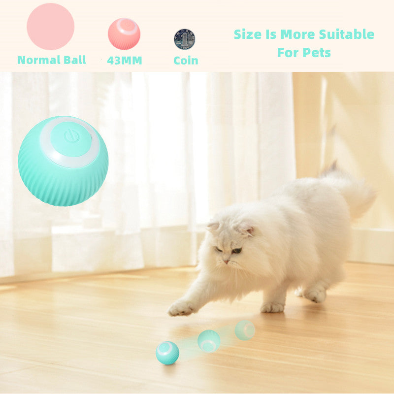 Mint teal cat ball toy with two smaller rolling balls near a white cat