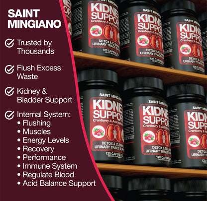 Kidney Support Cleanse Detox & Repair -120 Capsules - Cranberry & Astragalus Root Pills - Renee Lane Company