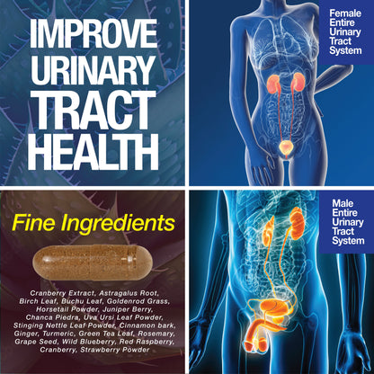 Kidney Support Cleanse Detox & Repair -120 Capsules - Cranberry & Astragalus Root Pills - Renee Lane Company