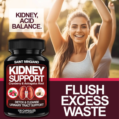 Kidney Support Cleanse Detox & Repair -120 Capsules - Cranberry & Astragalus Root Pills - Renee Lane Company
