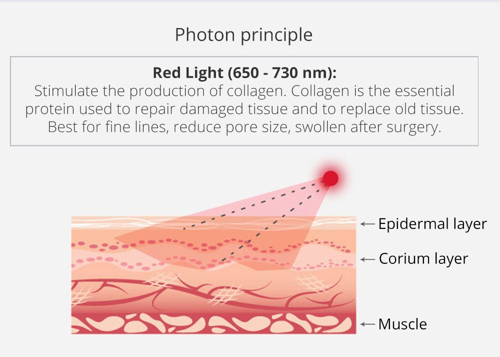 Kim 10 6-in-1 Cavitation RF Lipo Laser System - Renee Lane Company