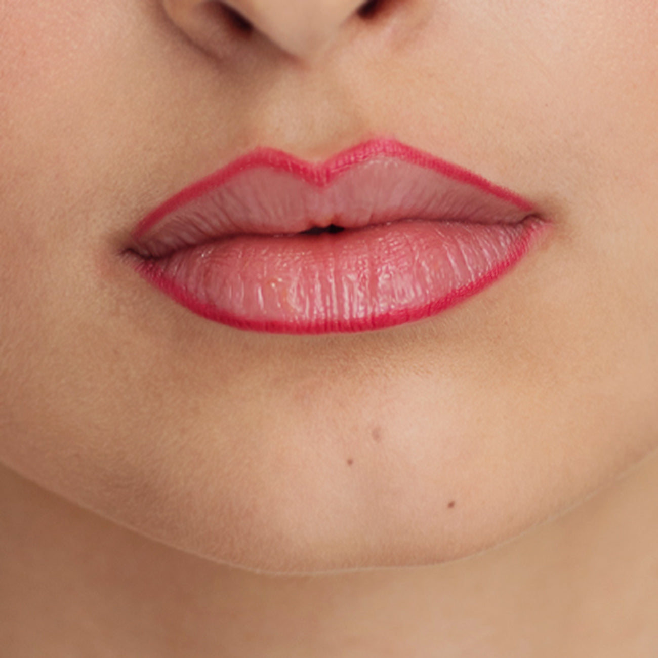 LIPLINER - Renee Lane Company