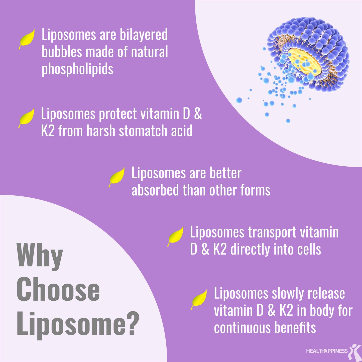 LIPOSOMAL Vegan Vitamin D3 K2 - Renee Lane Company