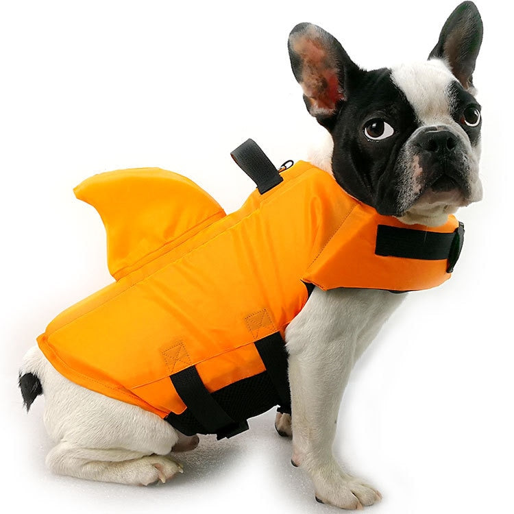 Orange dog flotation vest with black chest strap, worn by a French bulldog.