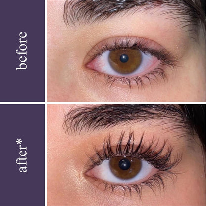 Lash & Brow Wonder Bundle - Renee Lane Company