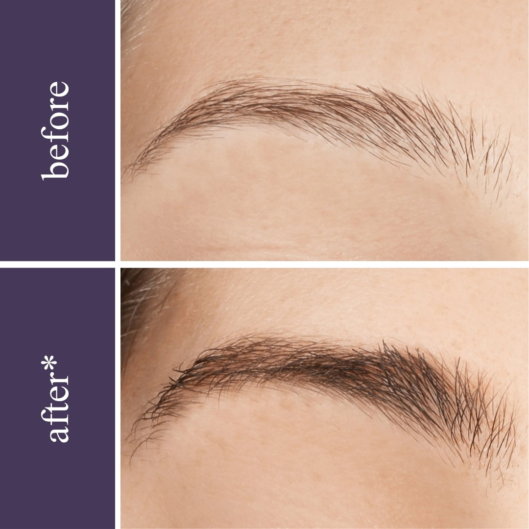 Lash & Brow Wonder Bundle - Renee Lane Company